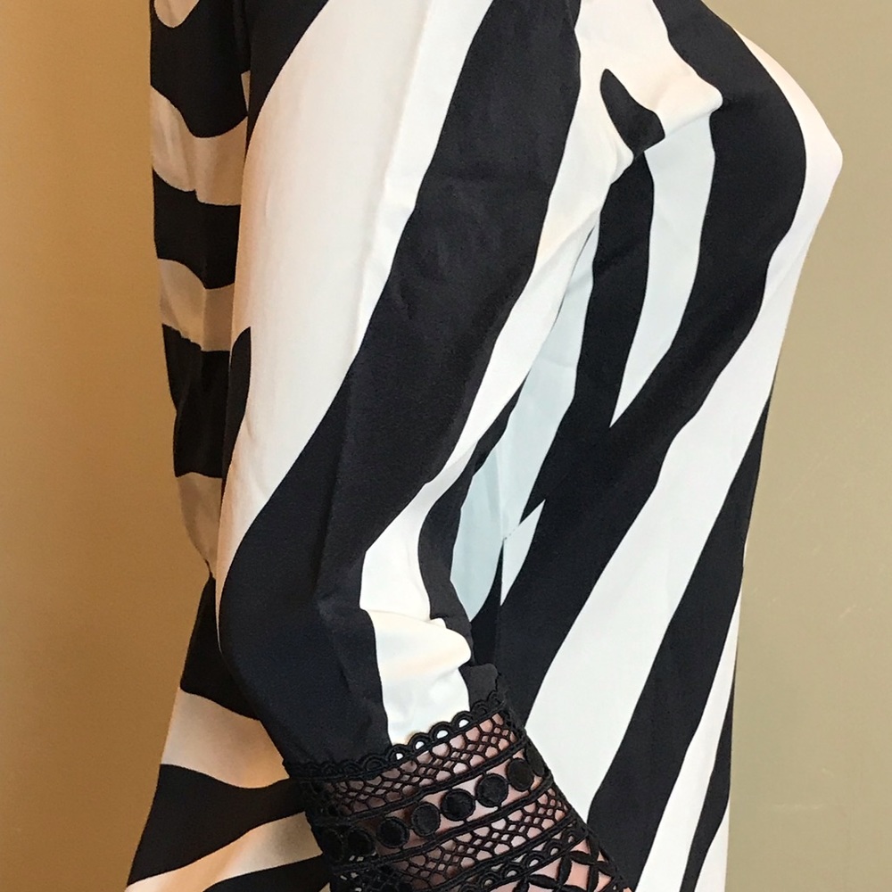 Naeem Khan Zebra Stripe Dress Exclusive - Picture 6 of 9